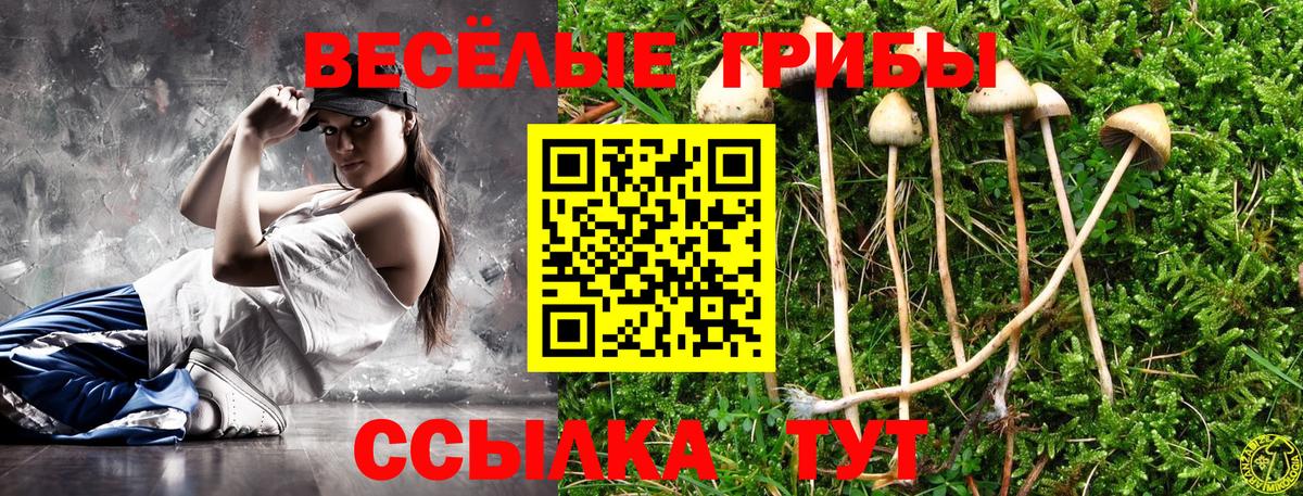 Елец  Псилоцибиновые грибы ЛСД  Псилоцибиновые грибы ЛСД  Вход с VPN 